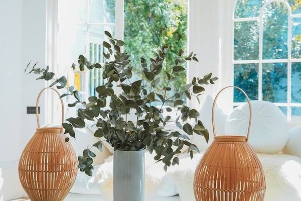 Découvrez l'Art de l'Objet de Décoration Éthique pour Sublimer votre Intérieur