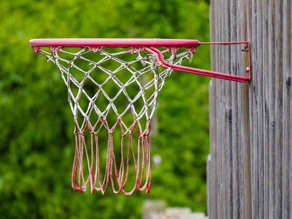 10 Conseils pour Choisir le Meilleur Panier de Basket pour Votre Jardin